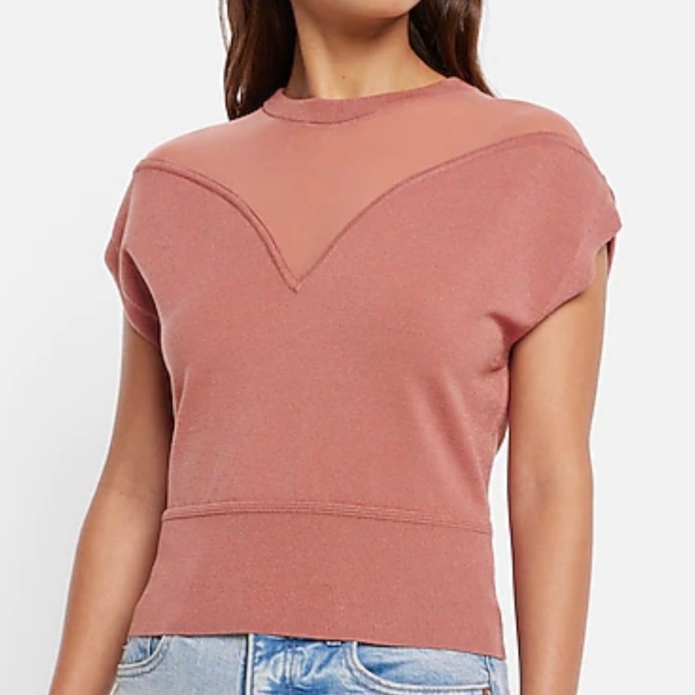 Express Body Contour Mesh Short Sleeve Sweater Top